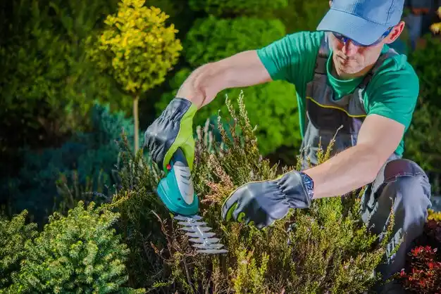 landscaping services Jenison